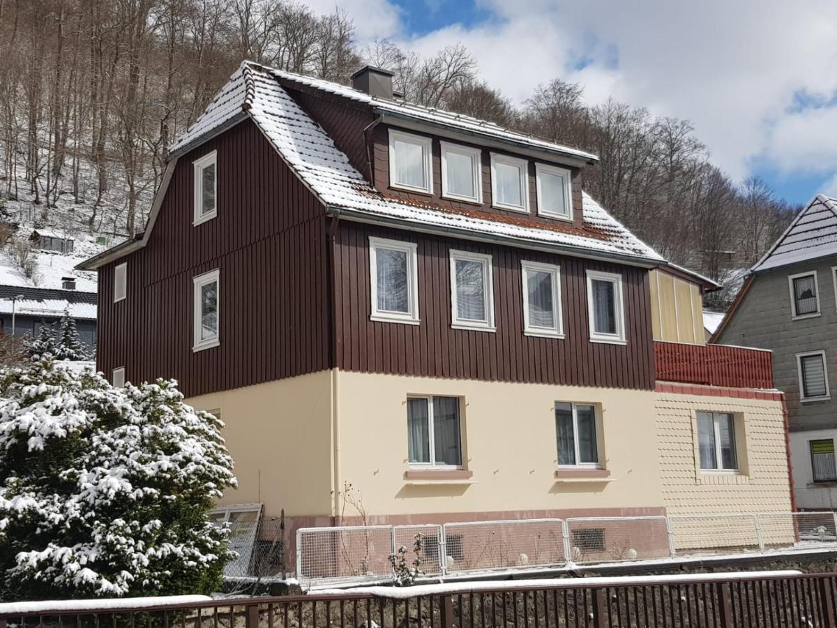 Ferienhaus Am Fluss Mit Traumhafter Dachterrasse ,Garten Und Grill Walkenried Екстериор снимка