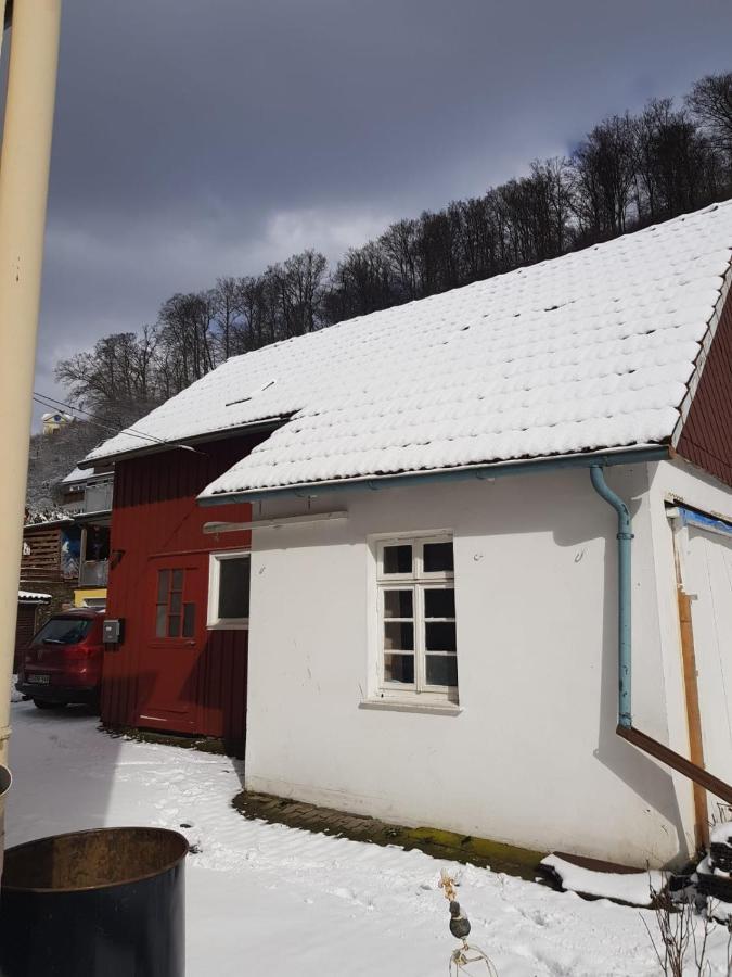 Ferienhaus Am Fluss Mit Traumhafter Dachterrasse ,Garten Und Grill Walkenried Екстериор снимка