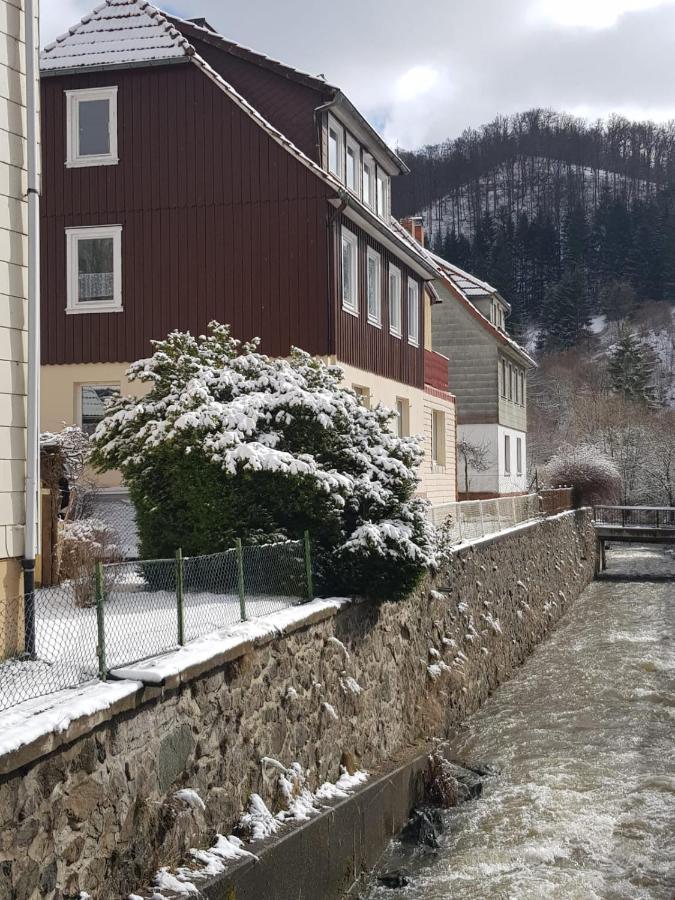 Ferienhaus Am Fluss Mit Traumhafter Dachterrasse ,Garten Und Grill Walkenried Екстериор снимка