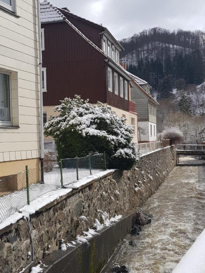 Ferienhaus Am Fluss Mit Traumhafter Dachterrasse ,Garten Und Grill Walkenried Екстериор снимка