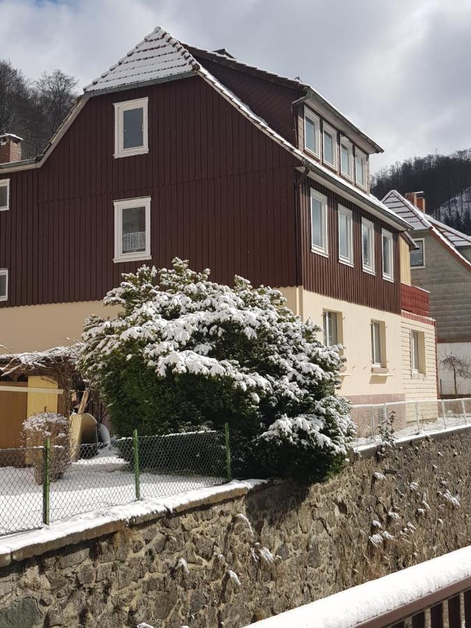 Ferienhaus Am Fluss Mit Traumhafter Dachterrasse ,Garten Und Grill Walkenried Екстериор снимка