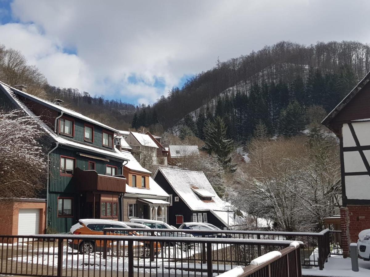 Ferienhaus Am Fluss Mit Traumhafter Dachterrasse ,Garten Und Grill Walkenried Екстериор снимка