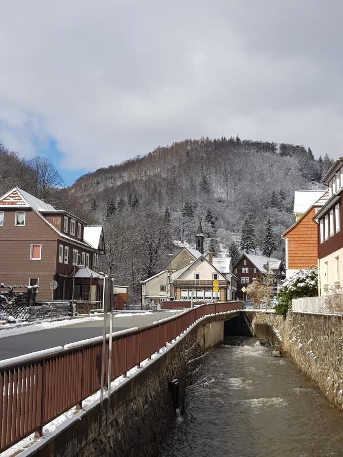 Ferienhaus Am Fluss Mit Traumhafter Dachterrasse ,Garten Und Grill Walkenried Екстериор снимка