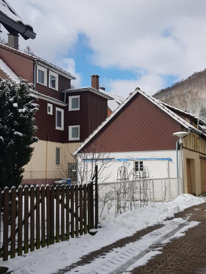 Ferienhaus Am Fluss Mit Traumhafter Dachterrasse ,Garten Und Grill Walkenried Екстериор снимка