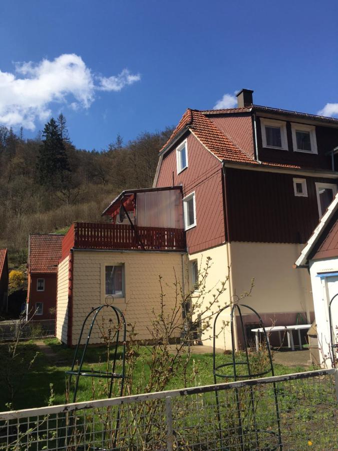 Ferienhaus Am Fluss Mit Traumhafter Dachterrasse ,Garten Und Grill Walkenried Екстериор снимка