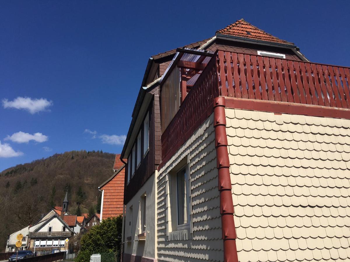 Ferienhaus Am Fluss Mit Traumhafter Dachterrasse ,Garten Und Grill Walkenried Екстериор снимка