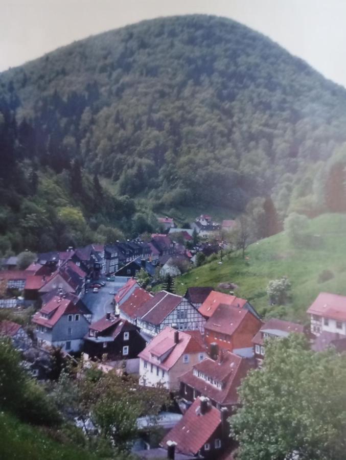 Ferienhaus Am Fluss Mit Traumhafter Dachterrasse ,Garten Und Grill Walkenried Екстериор снимка